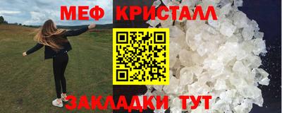 прущие грибы Дубна