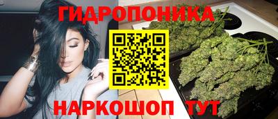 прущие грибы Дубна