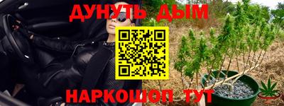 тгк Заволжье