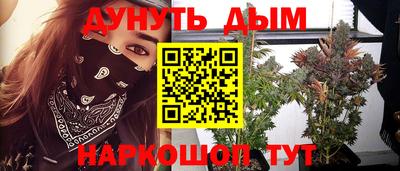 прущие грибы Дубна