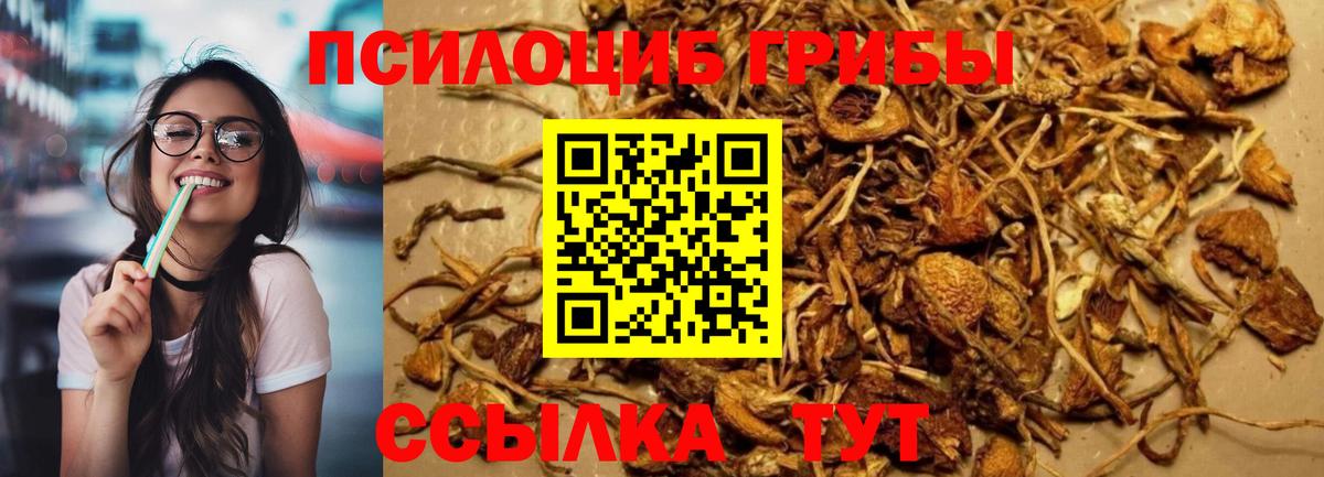 Майский  Галлюциногенные грибы GOLDEN TEACHER  Вход с VPN 